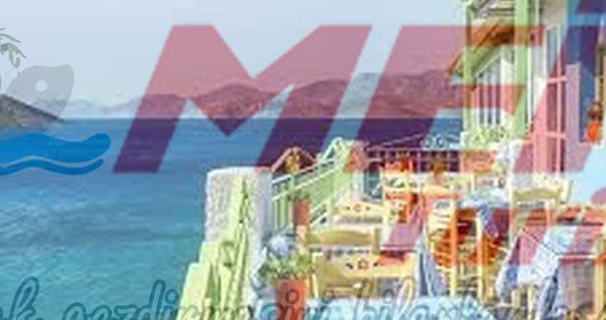 GÜNÜBİRLİK SAKIZ ADASI TURU