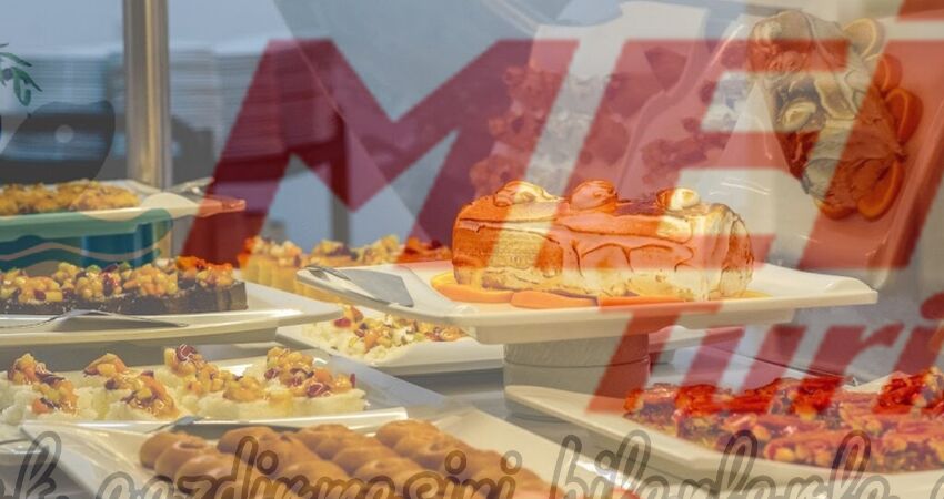 KÜTAHYA YONCALI KAPLICALARI