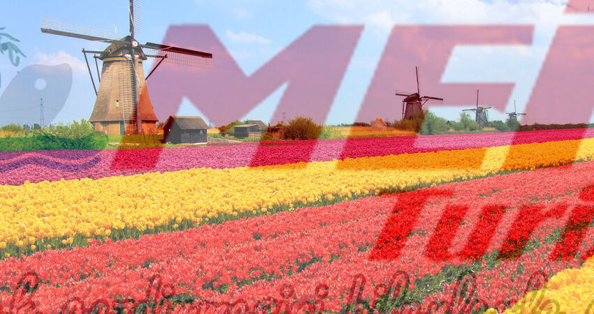 AMSTERDAM - HOLLANDA - BELÇİKA TURU