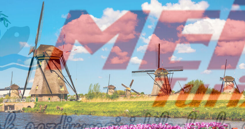 AMSTERDAM - HOLLANDA - BELÇİKA TURU