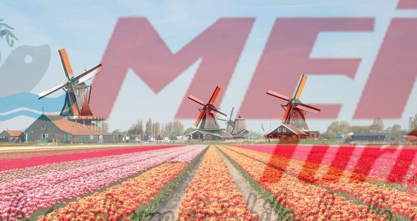 AMSTERDAM - HOLLANDA - BELÇİKA TURU