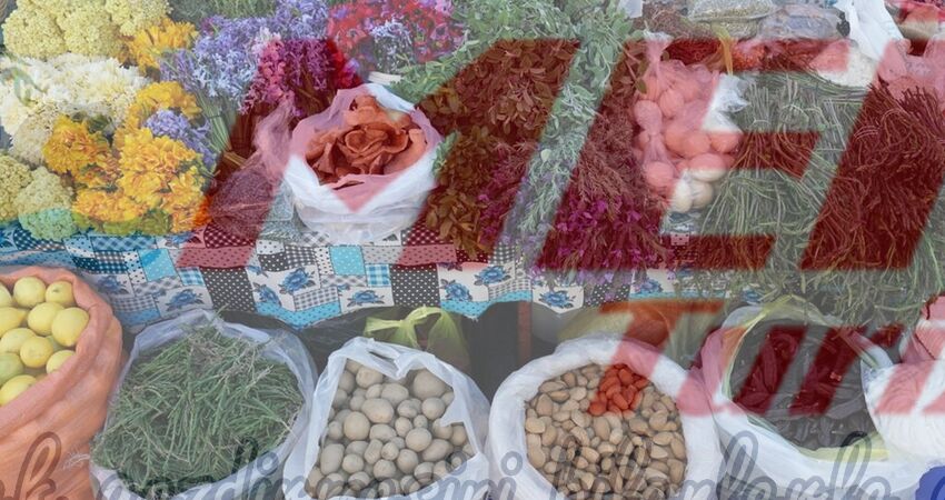 BODRUM ACI OT FESTİVALİ