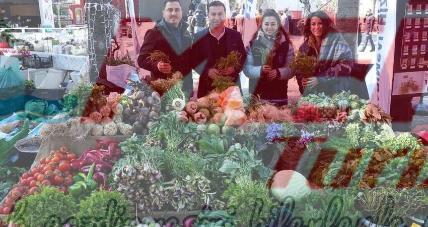 BODRUM ACI OT FESTİVALİ