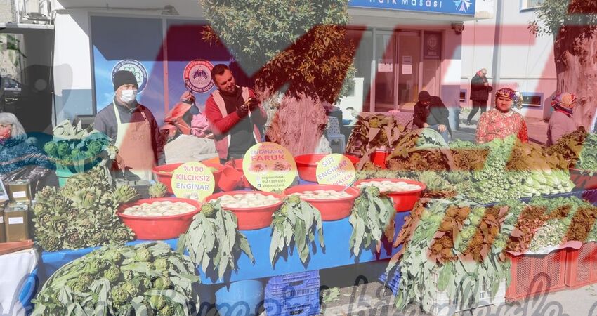 BODRUM ACI OT FESTİVALİ