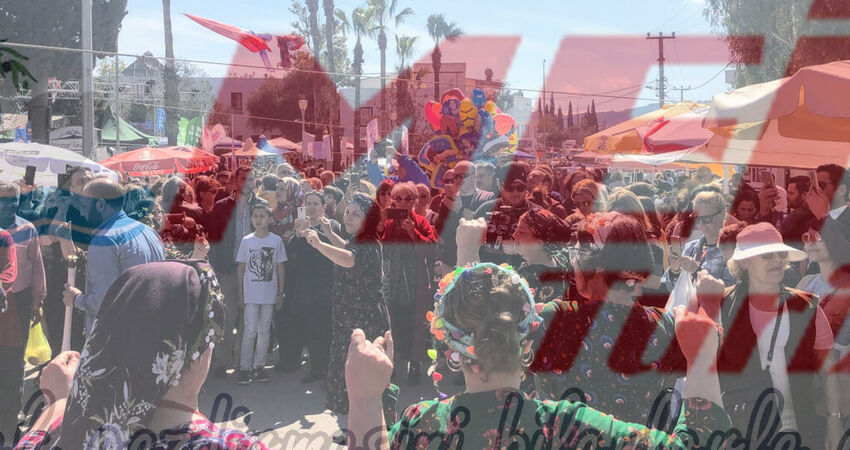 BODRUM ACI OT FESTİVALİ