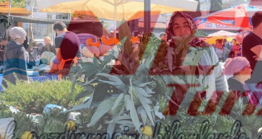 BODRUM ACI OT FESTİVALİ