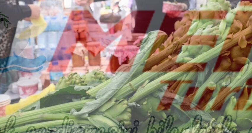 BODRUM ACI OT FESTİVALİ