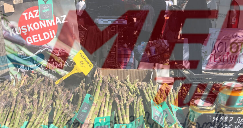 BODRUM ACI OT FESTİVALİ