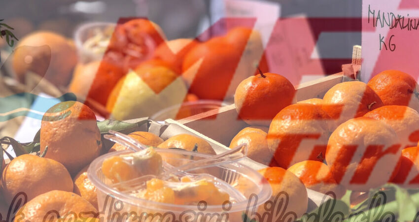 BODRUM ACI OT FESTİVALİ