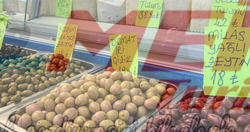 BODRUM ACI OT FESTİVALİ