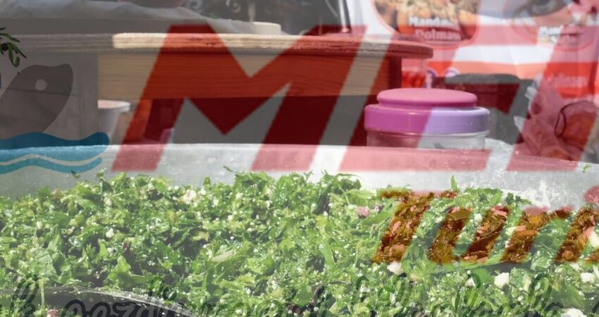 BODRUM ACI OT FESTİVALİ