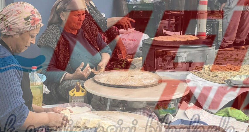 BODRUM ACI OT FESTİVALİ