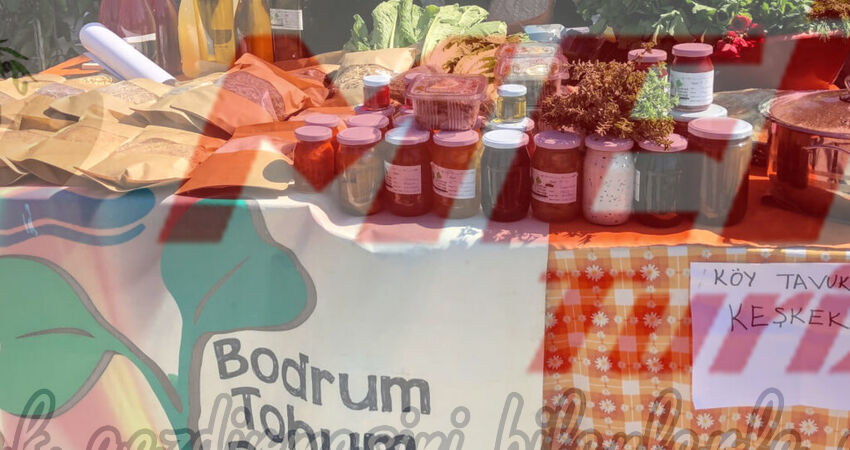 BODRUM ACI OT FESTİVALİ