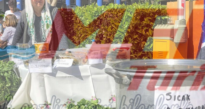 BODRUM ACI OT FESTİVALİ