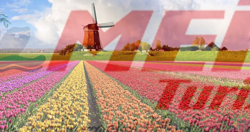 YENİ YIL ÖZEL AMSTERDAM / HOLLANDA / BELÇIKA TURU