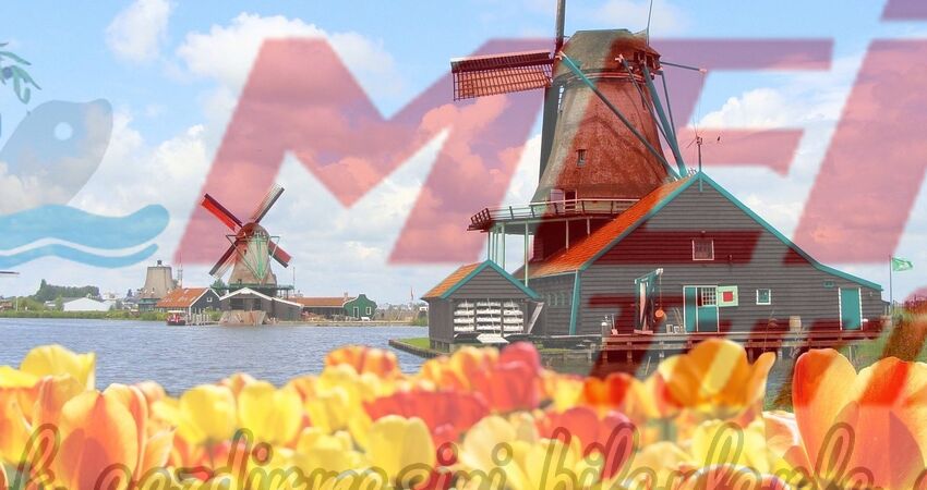 YENİ YIL ÖZEL AMSTERDAM / HOLLANDA / BELÇIKA TURU