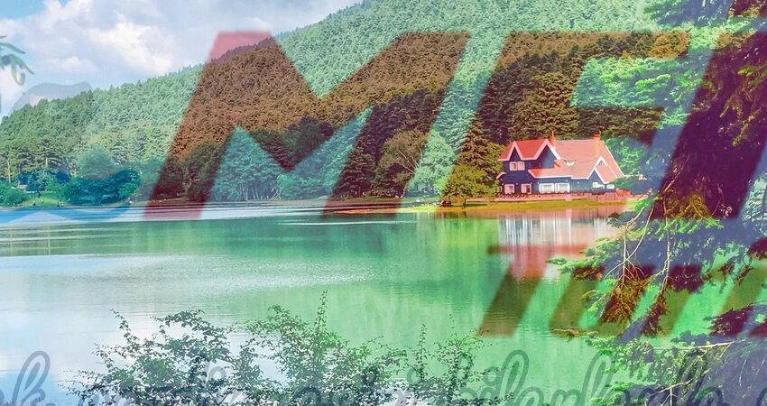 KARTEPE GÖLCÜK ORMANYA TURU