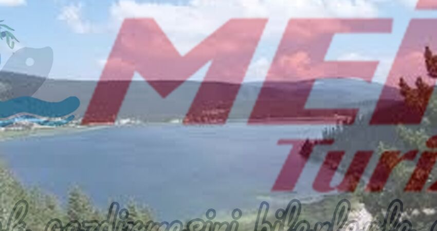 KARTEPE GÖLCÜK ORMANYA TURU