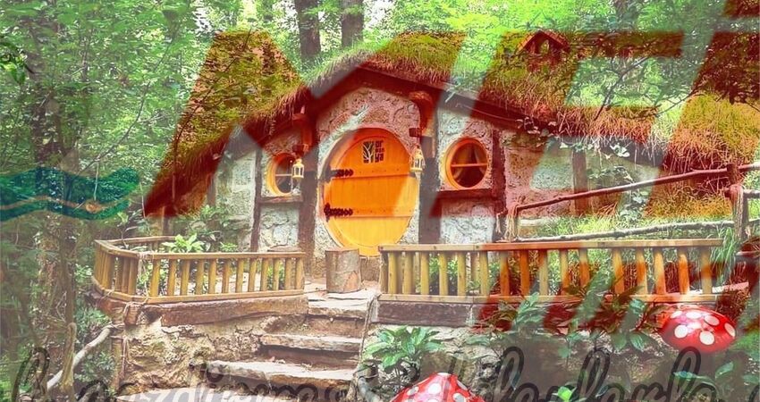 KARTEPE GÖLCÜK ORMANYA TURU