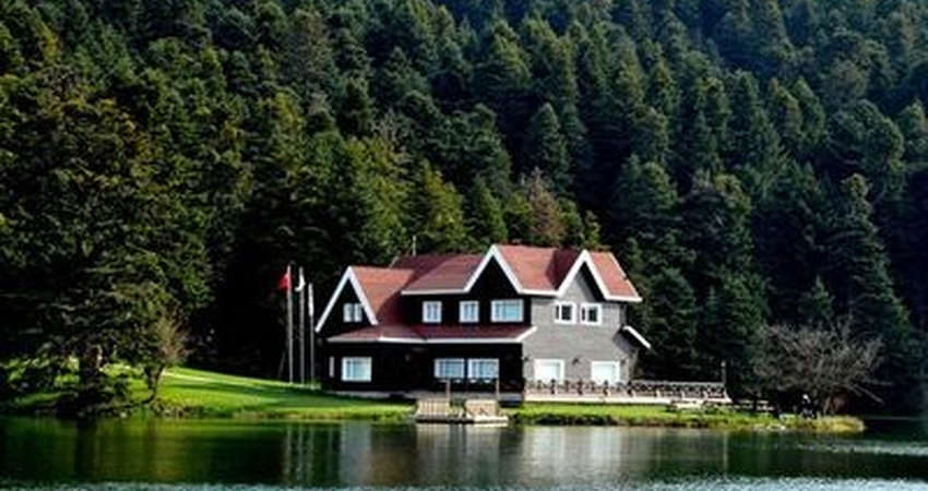 YEDİGÖLLER ABANT ORMANYA 2025