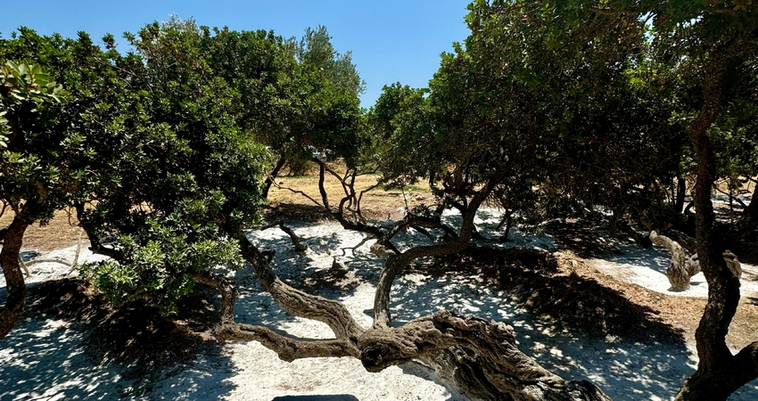 RAMAZAN BAYRAMI ÖZEL 3 GÜN 2 GECE SAKIZ ADASI TURU