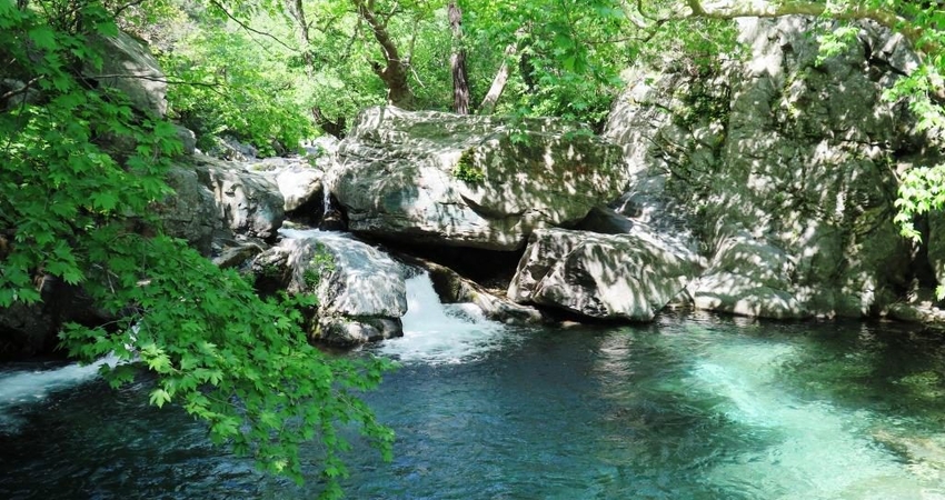 KAZDAĞLARI ŞELALELER TURU