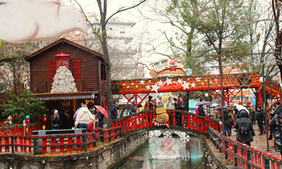 13 ARALIK GÜNÜBİRLİK DRAMA KAVALA DEDEAĞAÇ TURU