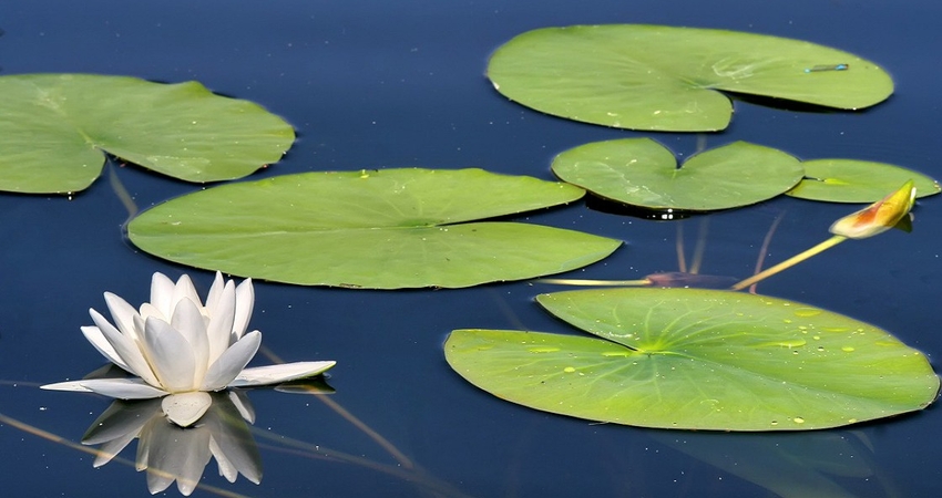 IŞIKLI GÖLÜ - PAMUKKALE TURU