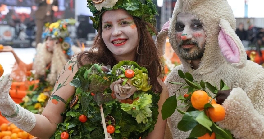 MANDALİNA FESTİVALİ SEFERİHİSAR