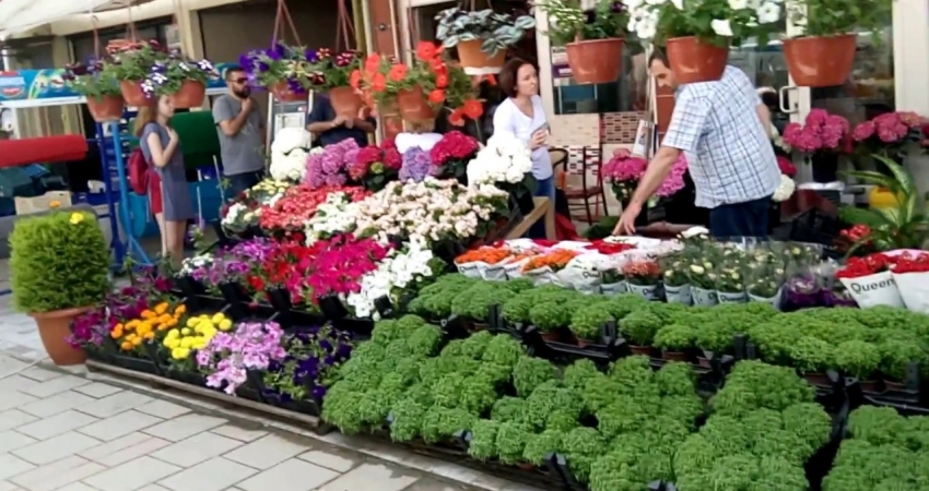 GÜNÜBİRLİK BAYINDIR ÇİÇEK FESTİVALİ TURU