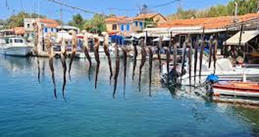 YILBAŞI ÖZEL 3 GÜN 2 GECE MİDİLLİ ADASI TURU LESVİON OTEL 