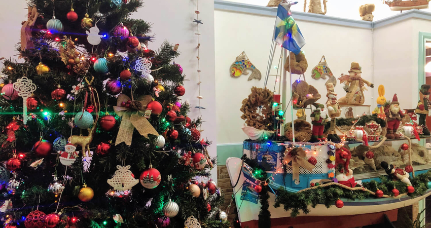 NOEL PAZARI ÖZEL 2 GÜN 1 GECE KOS ADASI TURU