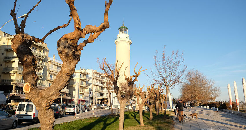 13 ARALIK GÜNÜBİRLİK DRAMA KAVALA DEDEAĞAÇ TURU