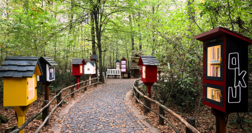 RAMAZAN BAYRAMI ABANT SAPANCA TURU