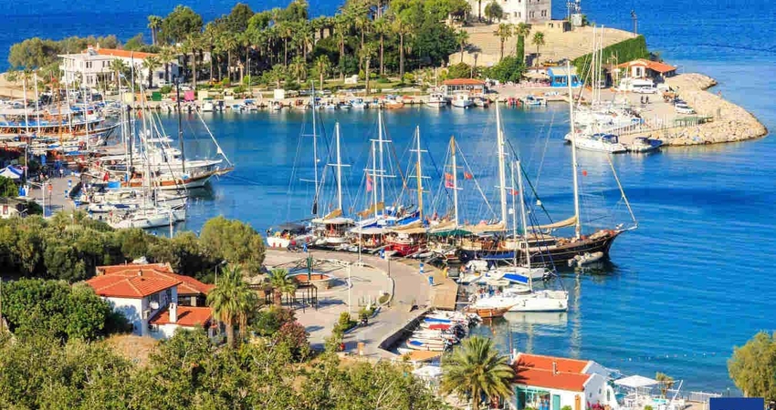 DATÇA BADEM ÇİÇEĞİ FESTİVALİ