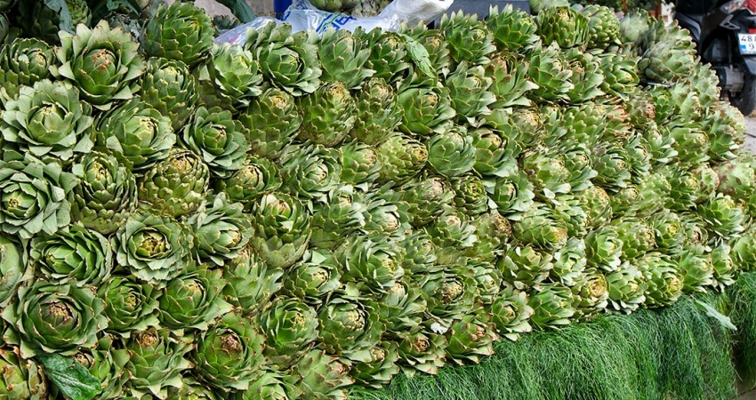 GÜNÜBİRLİK BODRUM ACI OT FESTİVALİ 