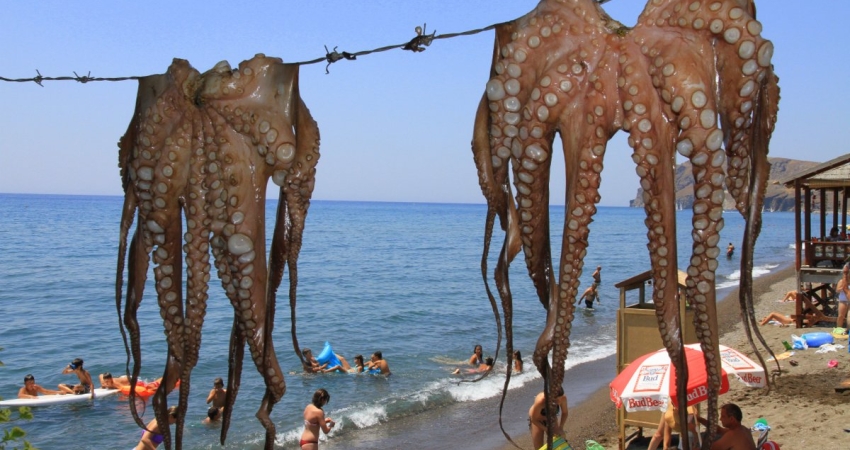 PASKALYA TATİLİ ÖZEL 2 GÜN 1 GECE MİDİLLİ TURU