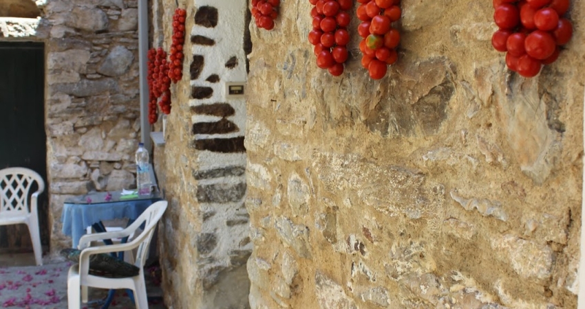 SAKIZ ADASI 2 GÜN 1 GECE 