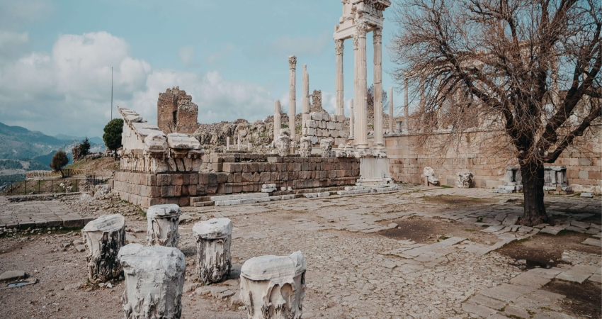 GÜNÜBİRLİK BERGAMA PAPATYA FESTİVALİ