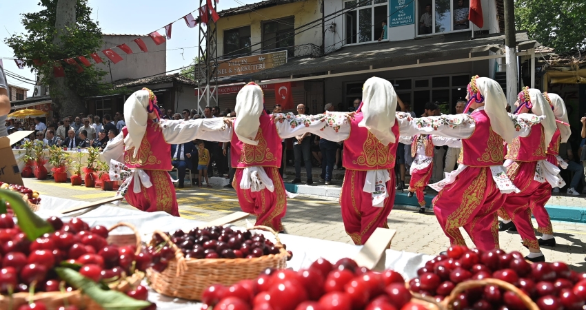 TEKİRDAĞ KİRAZ FESTİVALI